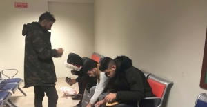 Edirne'de 20 düzensiz göçmen yakalandı