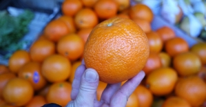 Irak ve Rusya pazarları elma ve portakalda rekor getirdi