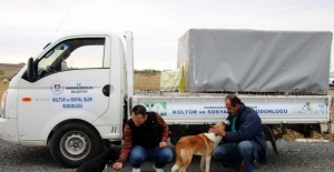 Marmaraereğlisi Belediyesi sokak hayvanlarını unutmadı