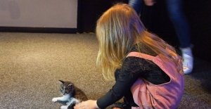 Sinema salonunda bulunan kedi çocukların ilgi odağı oldu