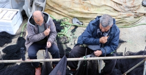 Tekirdağlı balıkçılar Marmara'dan istediğini alamadı