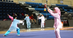 Türkiye Wushu Taolu Taichi Şampiyonası