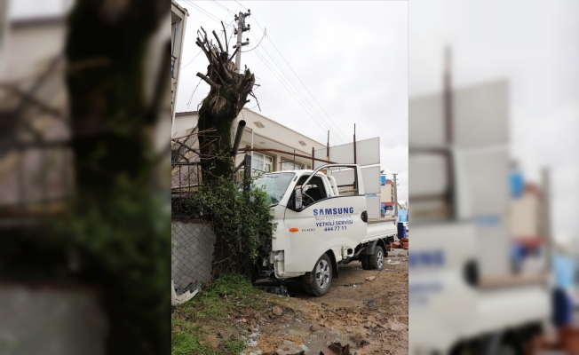 Yalova'da kamyonet ağaca çarptı: 2 yaralı