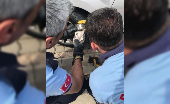 Aracın motor bölümünde sıkışan kediler kurtarıldı