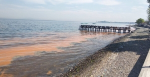 Planktonların çoğalmasıyla Çınarcık'ta deniz turuncuya büründü