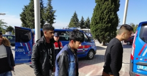 Tekirdağ'da 48 düzensiz göçmen yakalandı