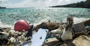 “2050'de denizlerde balıktan çok plastik atık olacak“