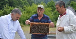 Arıcılar bal sezonuna hazırlanıyor
