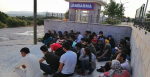 Çanakkale'de 47 düzensiz göçmen yakalandı