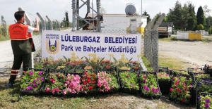 Lüleburgaz'da mezarlıkta çiçek dağıtıldı