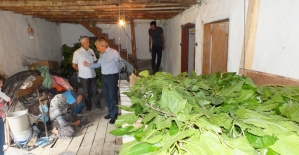 Tarihi köy ipek böcekçiliğiyle turizme açılacak