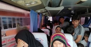 Çanakkale'de 52 düzensiz göçmen yakalandı