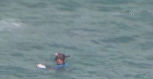 Denizde boğulma tehlikesi geçiren köpeği vatandaş kurtardı