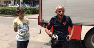 Rögarda mahsur kalan kediyi itfaiye kurtardı