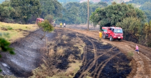 Çanakkale'deki orman yangını
