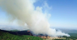 GÜNCELLEME 2 - Balıkesir'de orman yangını