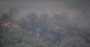 GÜNCELLEME 2 - Bursa'da orman yangını