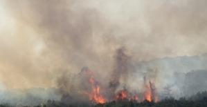 GÜNCELLEME - Edirne'de orman yangını