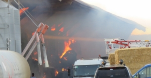 GÜNCELLEME - Kırklareli'nde hayvan çiftliğinde yangın