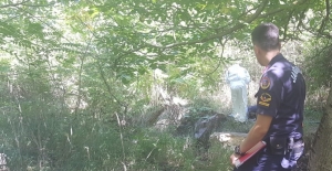 Sakarya'da yol kenarında erkek cesedi bulunması