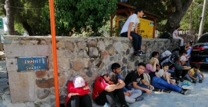 Çanakkale'de 50 düzensiz göçmen yakalandı