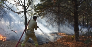 Çorlu'da orman yangını