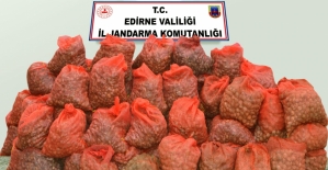 Edirne'de 1 ton 350 kilogram midye ele geçirildi