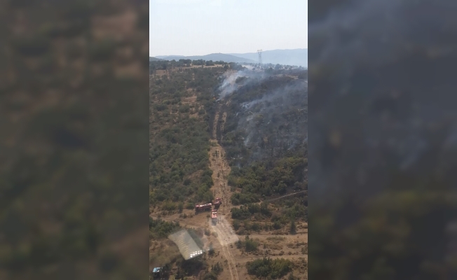 GÜNCELLEME- Balıkesir'de makilik yangını