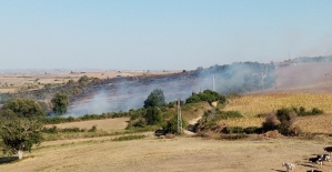 Malkara'da orman yangını