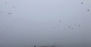 Edirne'de sis etkili oldu