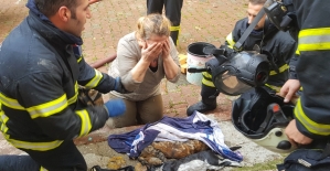 Yangında telef olan kedileri için gözyaşı döktü