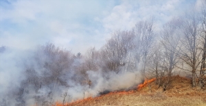 Bursa'da orman yangınında 5 hektarlık alan zarar gördü