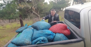 Edirne'de kaçak toplanan 15 ton kum midyesi ele geçirildi