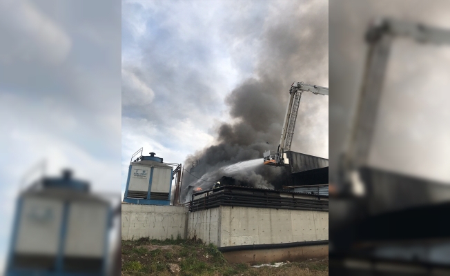 Kocaeli'de endüstriyel geri dönüşüm fabrikasında yangın