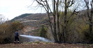Kocaeli'de orman yangınında 10 hektarlık alan zarar gördü