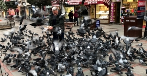 Teknisyen Necdet 10 yıldır Edirne'nin güvercinlerini besliyor
