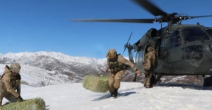 Askeri helikopter bu kez yaban hayvanları için havalandı