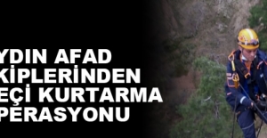 Aydın'da mahsur kalan keçi kurtarıldı