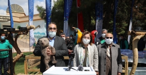 Gaziantep'te hayvanat bahçesi etkinliği