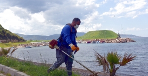 İzmir Aliağa'da bahar temizliği