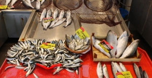 Kocaeli'de balık fiyatları zirveye koşuyor