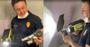 Mahsur kalan kediyi itfaiye ekipleri kurtardı