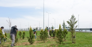 Malatya'da park ve refüjler yenileniyor