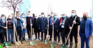 Türkiye- Azerbaycan kardeşliği Kocaeli'de yeşillenecek