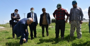 Yenişehir Belediyesi'nden çiftçilere destek