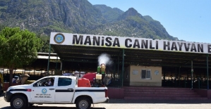 Manisa'da kurban satış yerleri ilaçlanıyor
