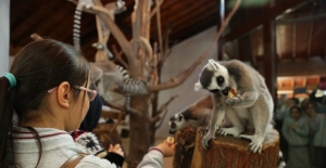 Bursa'da karne hediyesi; Hayvanat Bahçesi