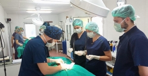 Geleceğin veteriner hekimlerine Osmangazi'de eğitim