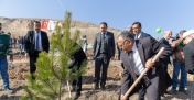 Bakanlık ve  ile Büyükşehir Belediyesi’nden Erciyes’te ağaçlandırma töreni